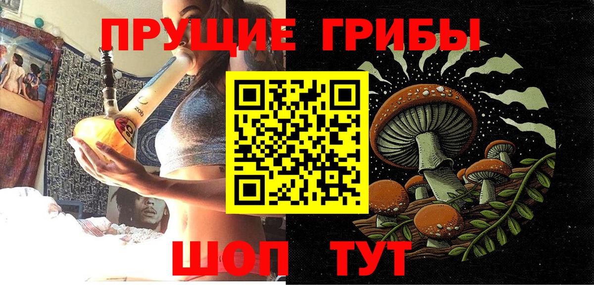 купить наркоту  Вход с VPN  Горячий Ключ  Псилоцибиновые грибы Psilocybe 